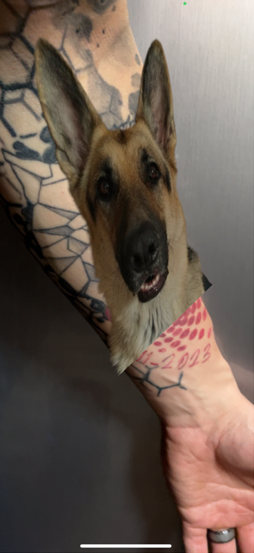 App Showcase Screenshot 1